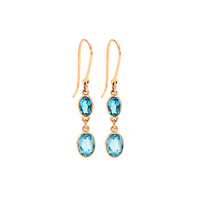 Double Drop Earrings