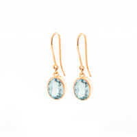 Single Drop Earrings