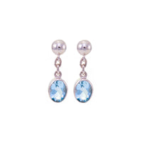 Small Single Drop Earrings