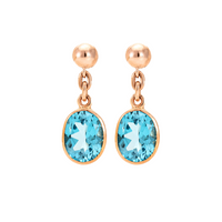 Large Single Drop Earrings