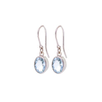 Single Drop Earrings