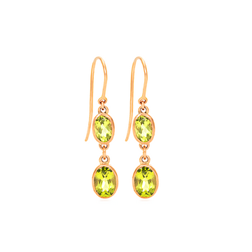 Double Drop Earrings