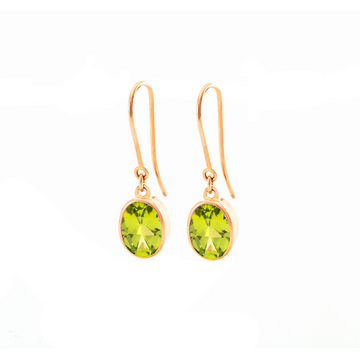 Single Drop Earrings