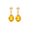 Large Single Drop Earrings