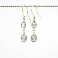 Double Drop Earrings